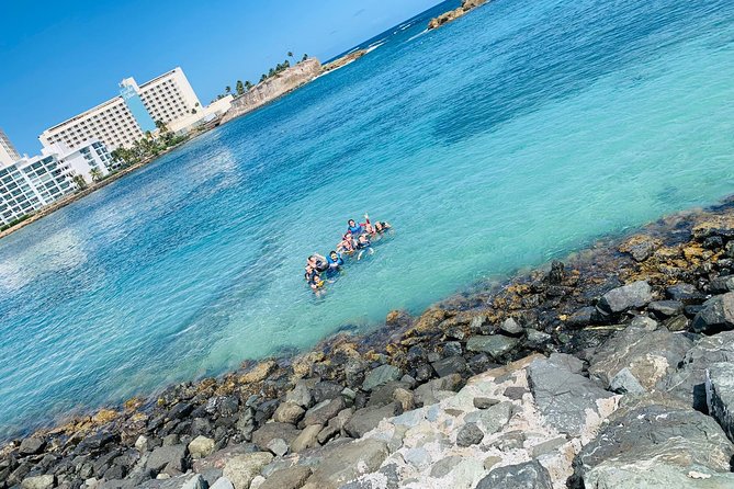 Snorkeling Guided Tour Experience in Condado Lagoon - Starting at Av. Ashford in Condado