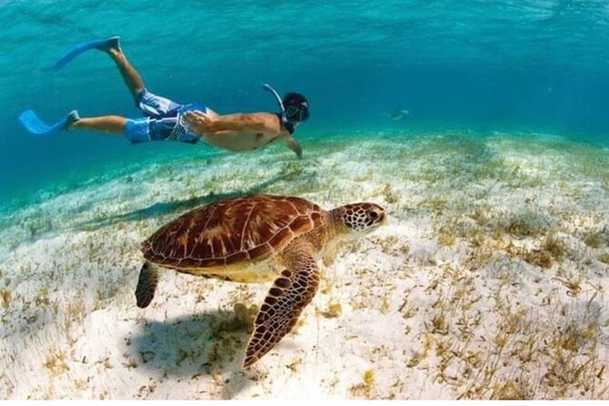 Snorkeling in Paradise - Videos Included - The first 30 minutes are about comfort, not speed