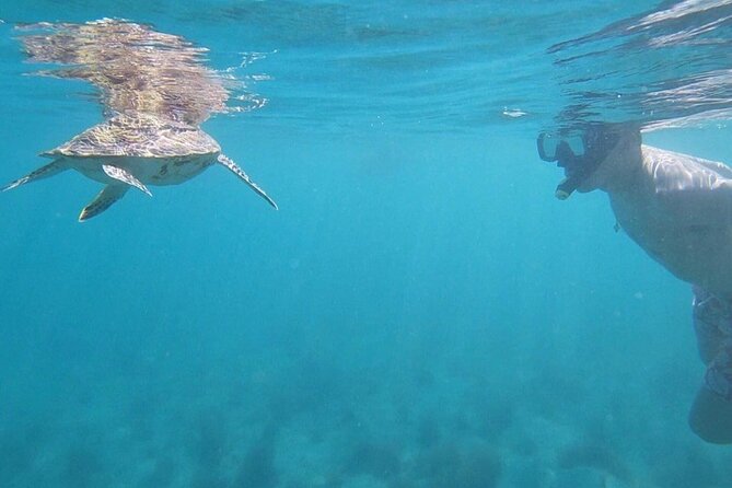 Snorkeling in Paradise - Videos Included - About an hour underwater, with room to look around
