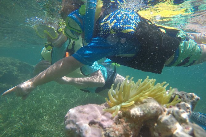 Snorkeling & Kayak Eco-Adventure in Puerto Rico - Starting at Las Croabas at 10:00 a.m.