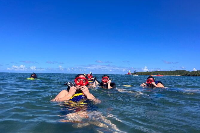 Snorkeling & Kayak Eco-Adventure in Puerto Rico - A conservation lesson with the water time