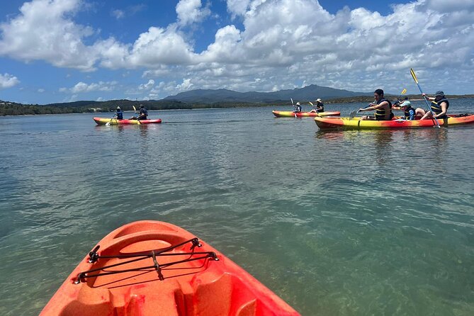 Snorkeling & Kayak Eco-Adventure in Puerto Rico - How the weather can change the plan