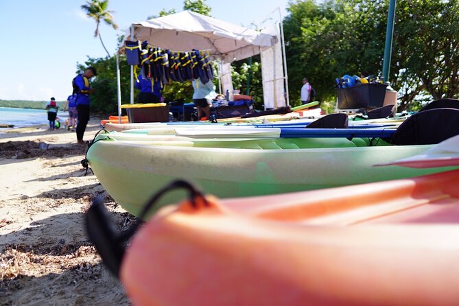 Snorkeling & Kayak Eco-Adventure in Puerto Rico - Who will enjoy this three-hour outing