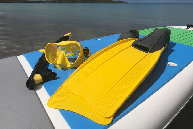 Snorkeling Lesson & Interactive Experience for Kids and Adults - Learning to breathe before you meet the reef