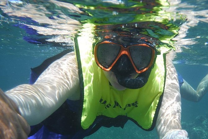 Snorkeling Lesson & Interactive Experience for Kids and Adults - The reef and the creatures you may see