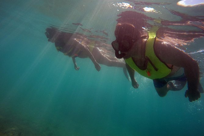 Snorkeling Lesson & Interactive Experience for Kids and Adults - Gear until 4:30 pm changes the value
