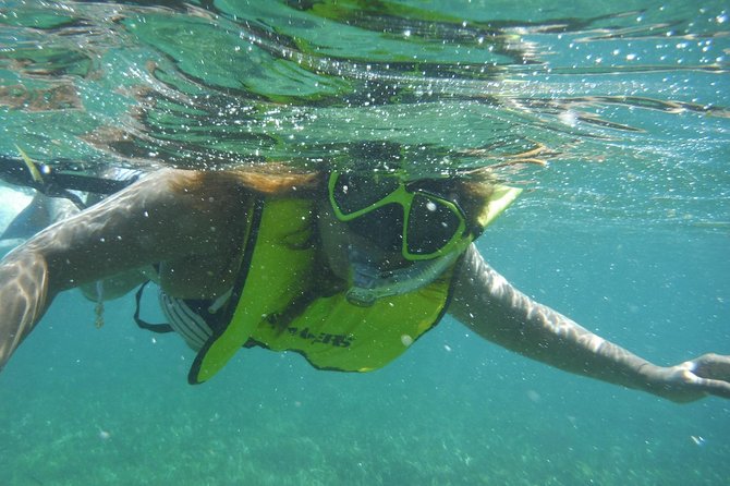 Snorkeling Lesson & Interactive Experience for Kids and Adults - Practical preparation for your beach lesson