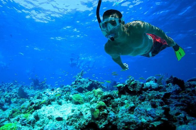 Snorkeling Tour to Vieques Island only 30 minutes away! - Beach time gives the four-hour trip variety