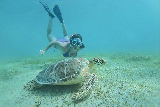 Snorkeling Tour to Vieques Island only 30 minutes away! - Getting fitted with mask, fins, and snorkel
