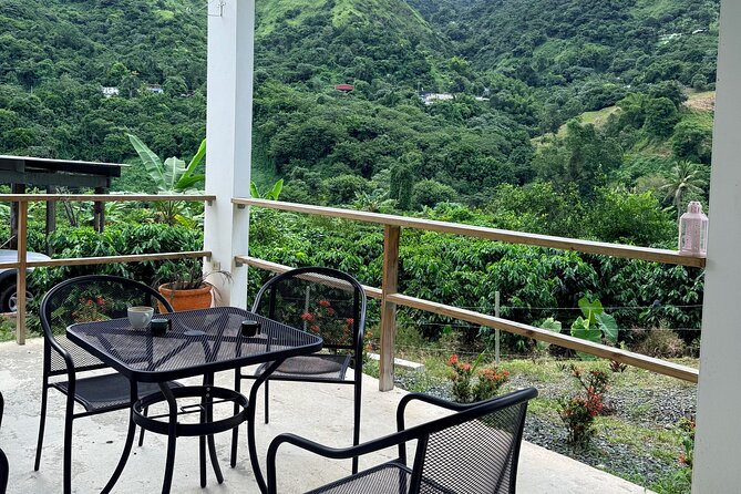 Sueños de Cafe - A Coffee Lovers Dream - Is $209 a fair price?