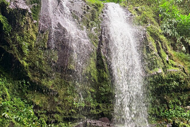 Sueños de Cafe - A Coffee Lovers Dream - Who should book this Jayuya day?