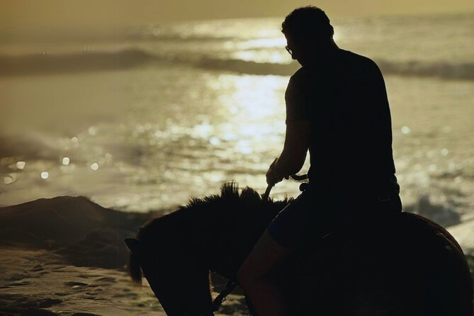Sunset Horseback Ride by the Beach in Aguadilla, Puerto Rico - Beginner-friendly horses and hands-on guidance