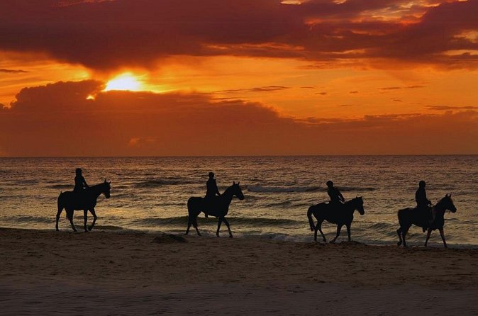 Sunset Horseback Ride by the Beach in Aguadilla, Puerto Rico - Timing, weather, and the waiting problem