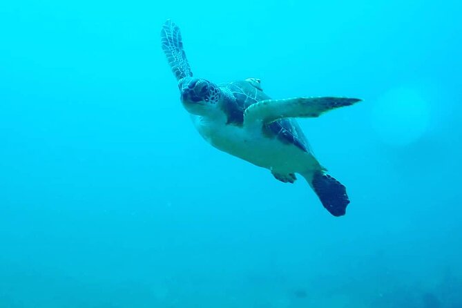 Sunset Snorkeling - Weather, currents, and the cancellation question
