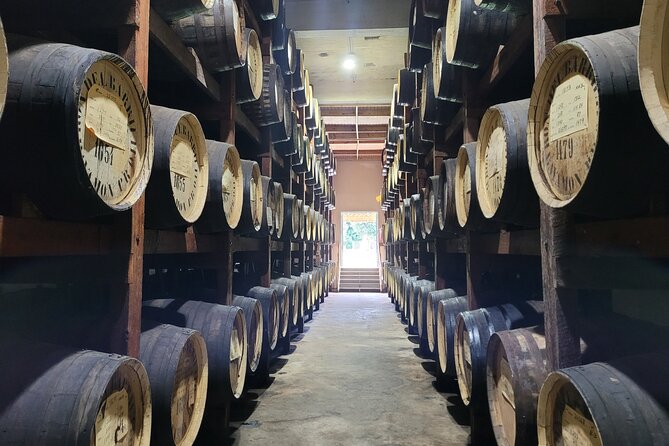 The Barrilito Rum Factory Experience Transportation Included - Key things to know before you book