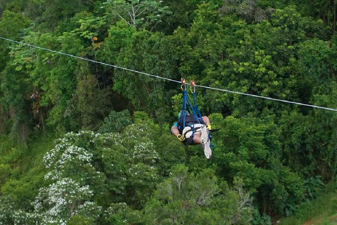 The Beast Zipline at Toroverde Adventure Park in Puerto Rico - What happens from check-in to launch