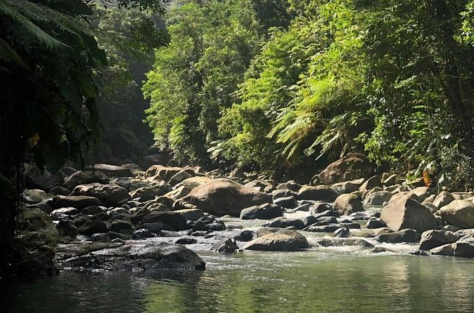 The Best Rainforest Experience in Puerto Rico - Who should book this El Yunque and Luquillo trip