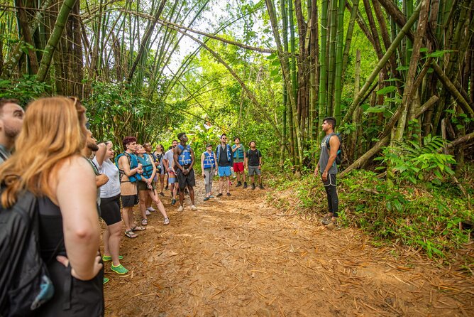 Top Rated El Yunque Rainforest & Waterslide – SmallGroup Tour - Fifteen more minutes to the rock slide