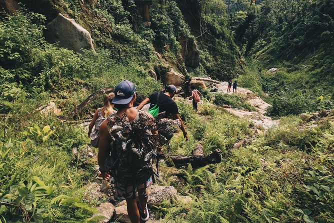 Top Rated El Yunque Rainforest & Waterslide – SmallGroup Tour - What the swimming and jumping are really like