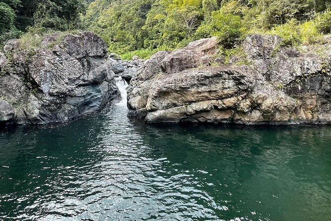 Toro Negro River Hike & Cliff Jumping Adventure; San Juan Pick Up - Who will enjoy this most