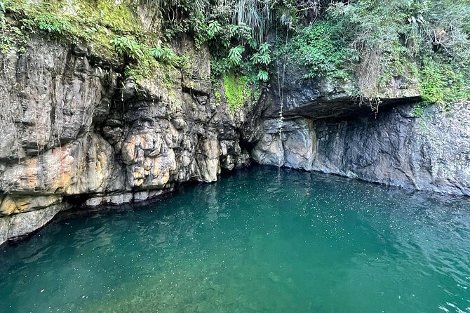Toro Negro River Hike & Cliff Jumping Adventure; San Juan Pick Up - The Toro Negro river hike is the real adventure