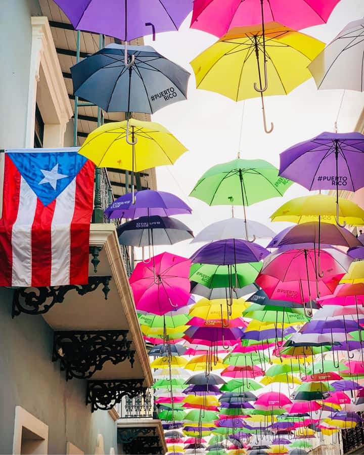 Tour de Viejo San Juan en Español - Cobblestones, color, and the shape of the old city