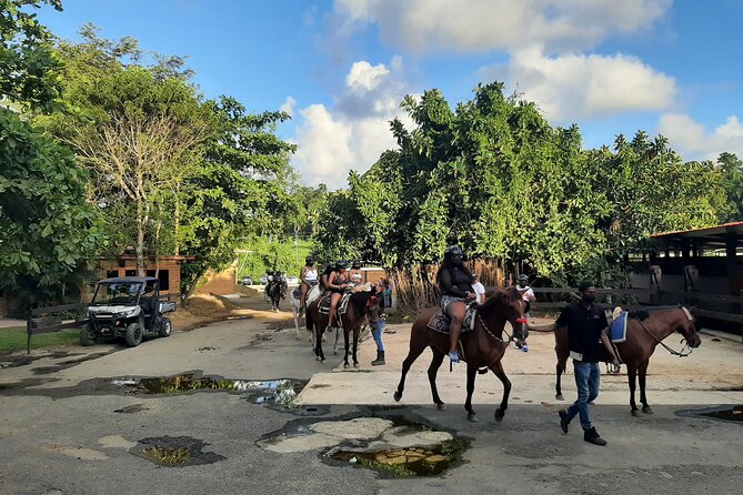 Transfer from San Juan, Rio Grande, Loiza, Luquillo or return - The driver’s role goes beyond the steering wheel