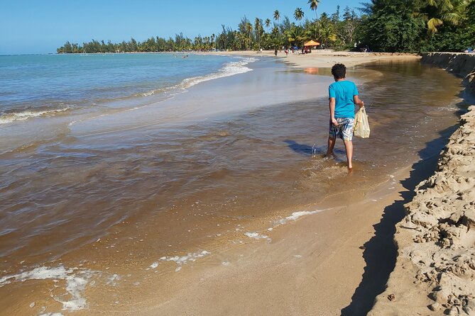 Transportation from San Juan to Ceiba ferry or airport - The human side of the ride