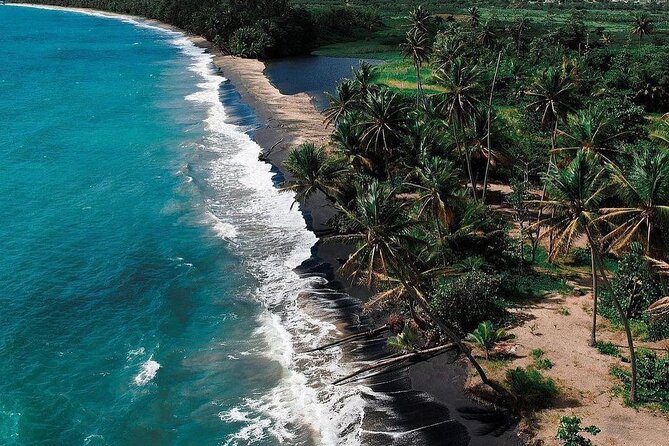 Transportation to Fajardo and Ceiba. Hotels and Airbnb vice versa One Way Trip. - A ride with local tips, not a formal tour
