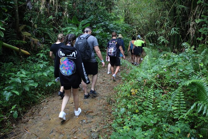 Trio Tour: El Yunque, Luquillo Beach, and Bio Bay Night Kayaking - Laguna Grande brings the night’s main event