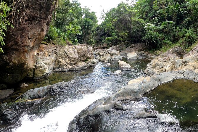 Trio Tour: El Yunque, Luquillo Beach, and Bio Bay Night Kayaking - The guides make the difference