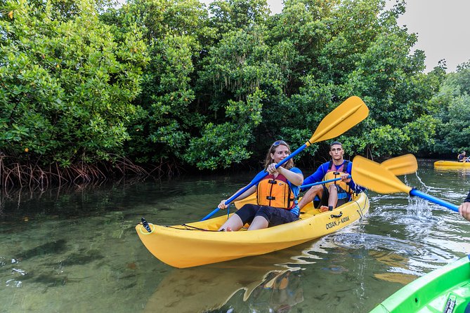 Trio Tour: El Yunque, Luquillo Beach, and Bio Bay Night Kayaking - What the four-hour El Yunque block really means