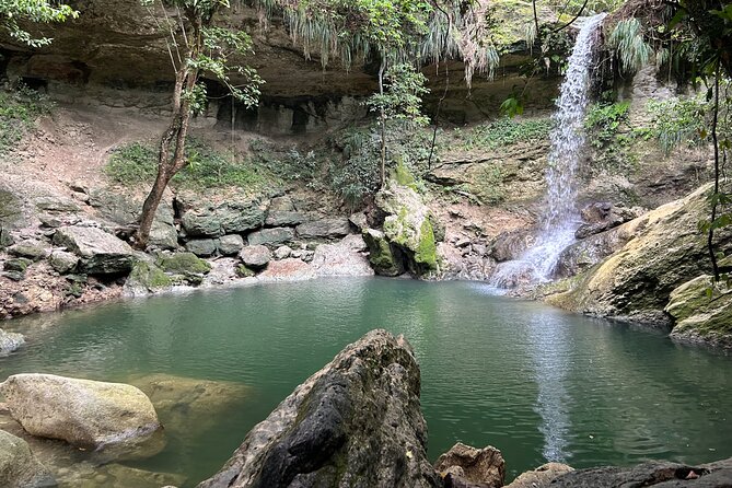 Tropical Rainforest Luxury Experiences - Café Oro and the taste of Puerto Rican coffee