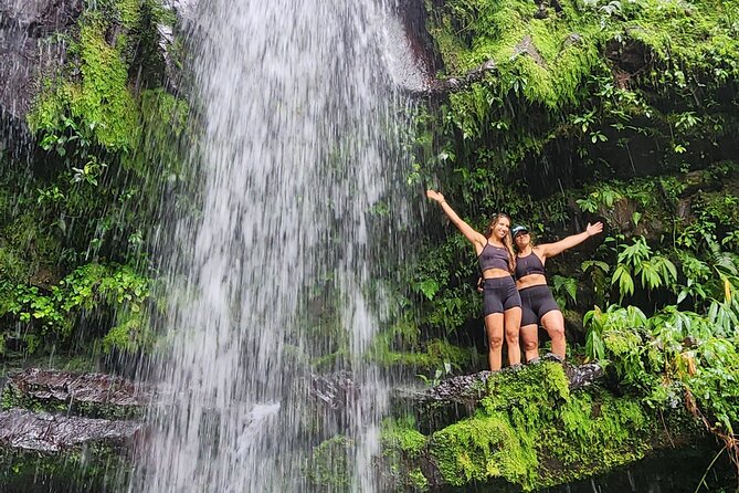 Tropical Rainforest Wonders Full Day Experience from San Juan - Scenic Roads Through Toro Negro State Forest