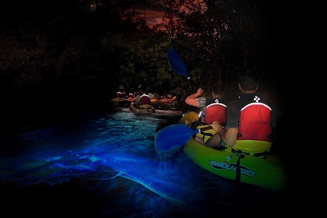 Two-in-One Day Trip: El Yunque and Bio Bay Tour with Transport - Key Things to Know Before You Book