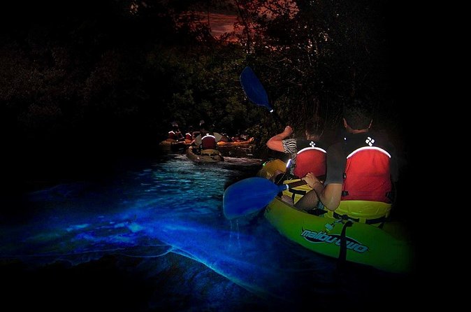 Two-in-One Day Trip: El Yunque and Bio Bay Tour with Transport - Paddling Through the Red Mangroves