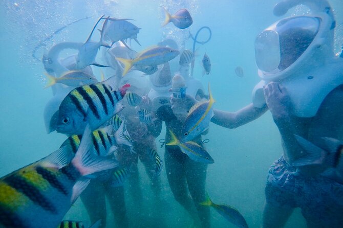Underwater Sea Trek in San Juan: Explore Beneath the Waves - Photos, video, and the extra cost