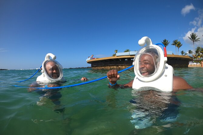 Underwater Sea Trek in San Juan: Explore Beneath the Waves - What you may see at 12 to 14 feet