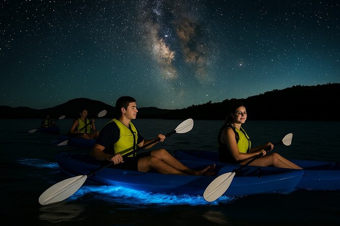 Unforgettable One Day Bioluminescent Kayak Adventure in Vieques - Key points to know before you book