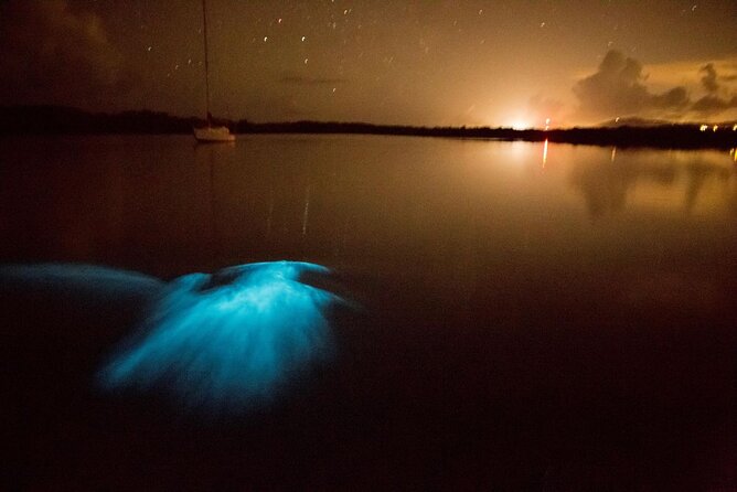 Unforgettable One Day Bioluminescent Kayak Adventure in Vieques - What happens on the water at Mosquito Bay