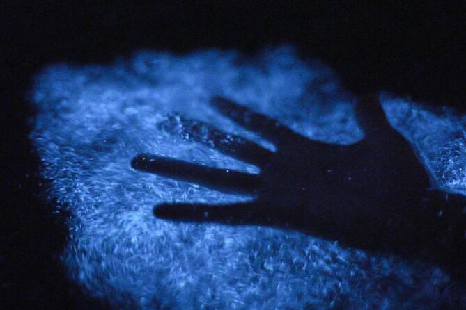 Unforgettable One Day Bioluminescent Kayak Adventure in Vieques - Is $60 a fair price?