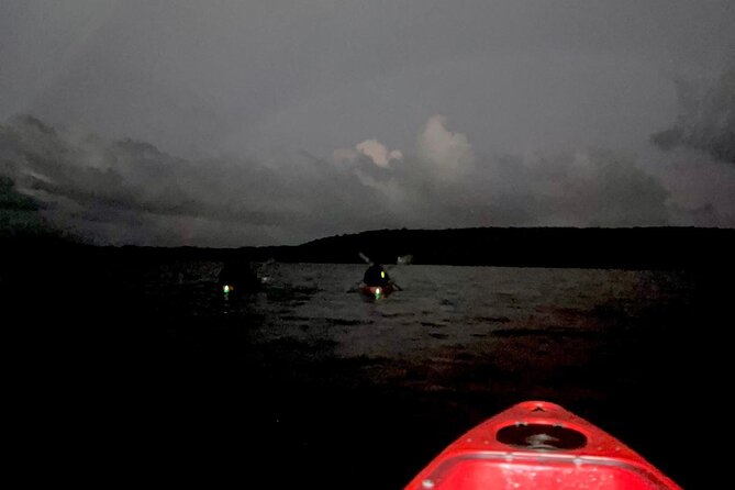 Unforgettable One Day Bioluminescent Kayak Adventure in Vieques - Who will enjoy this most