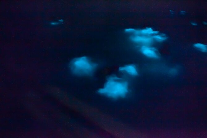 Unforgettable One Day Bioluminescent Kayak Adventure in Vieques - Why the moon phase can make or break the view