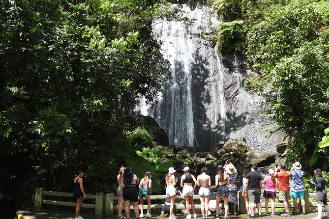 USDA El Yunque National Forest and Luquillo Beach Tour - Key points to know before you book