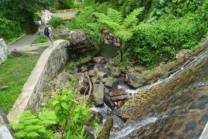 USDA El Yunque National Forest and Luquillo Beach Tour - Luquillo Beach supplies the relaxed half of the day