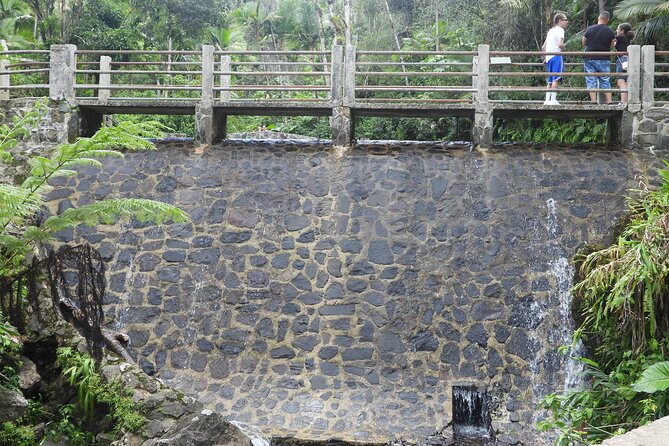USDA El Yunque National Forest and Luquillo Beach Tour - Guides can shape the quality of the day