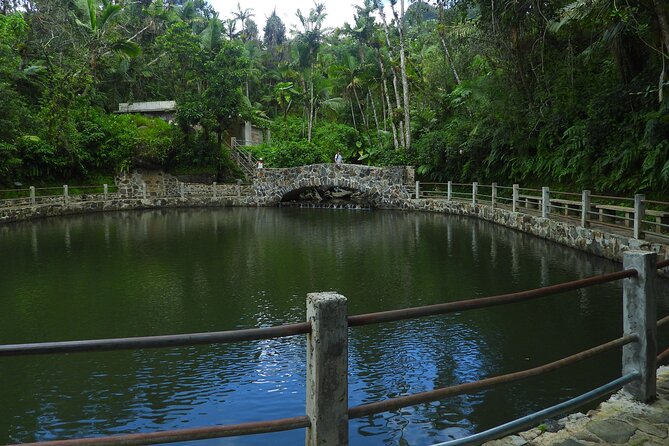 USDA El Yunque National Forest and Luquillo Beach Tour - What the $79 price really covers