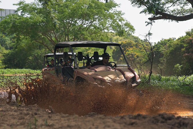 UTV adventure in Naguabo Puerto Rico 50 minutes trip 80 acres - Who should book this ride?