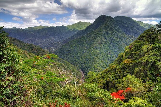 UTV and Can-Am Sightseeing Tours in Puerto Rico - The ride itself: music, wind, and open views