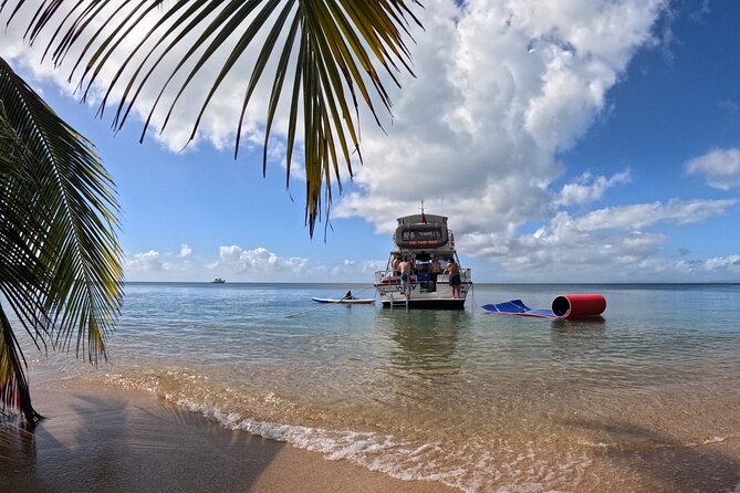 Vieques All-Inclusive: Swim with Turtles & Enjoy Pristine Beaches - Key points at a glance